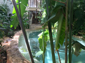 Tropical Cenote Loft North City 420